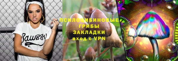 apvp Богданович